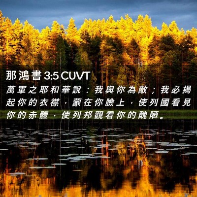 Picture 02 - 那 鴻 書 3:5 CUVT - 萬 軍 之 耶 和 華 說 ： 我 與 你 為 - Bible Verse Picture