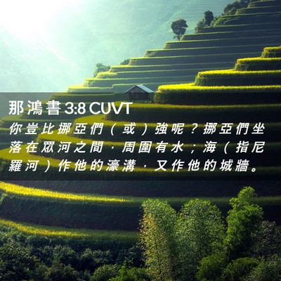 Picture 02 - 那 鴻 書 3:8 CUVT - 你 豈 比 挪 亞 們 （ 或 ） 強 呢 ？ - Bible Verse Picture