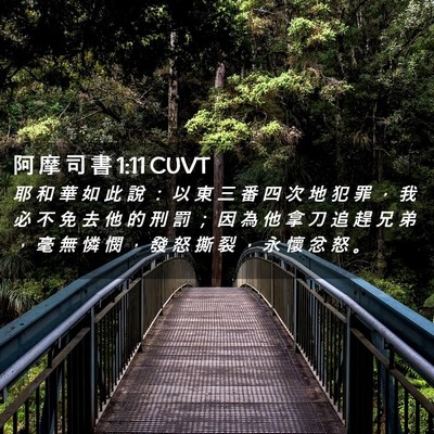 Picture 02 - 阿 摩 司 書 1:11 CUVT - 耶 和 華 如 此 說 ： 以 東 三 番 四 - Bible Verse Picture