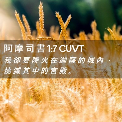 Picture 02 - 阿 摩 司 書 1:7 CUVT - 我 卻 要 降 火 在 迦 薩 的 城 內 ， - Bible Verse Picture