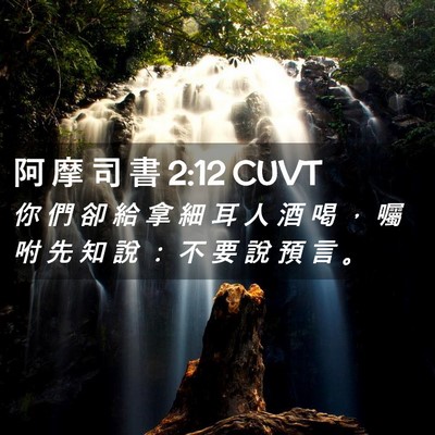 Picture 02 - 阿 摩 司 書 2:12 CUVT - 你 們 卻 給 拿 細 耳 人 酒 喝 ， 囑 - Bible Verse Picture