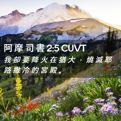 Picture 02 - 阿 摩 司 書 2:5 CUVT - 我 卻 要 降 火 在 猶 大 ， 燒 滅 耶 - Bible Verse Picture