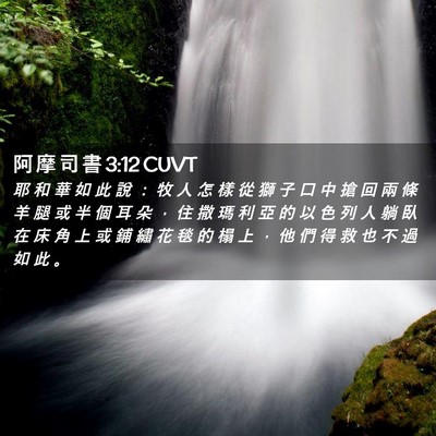 Picture 02 - 阿 摩 司 書 3:12 CUVT - 耶 和 華 如 此 說 ： 牧 人 怎 樣 從 - Bible Verse Picture