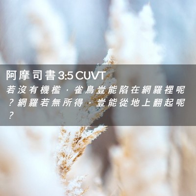 Picture 02 - 阿 摩 司 書 3:5 CUVT - 若 沒 有 機 檻 ， 雀 鳥 豈 能 陷 在 - Bible Verse Picture