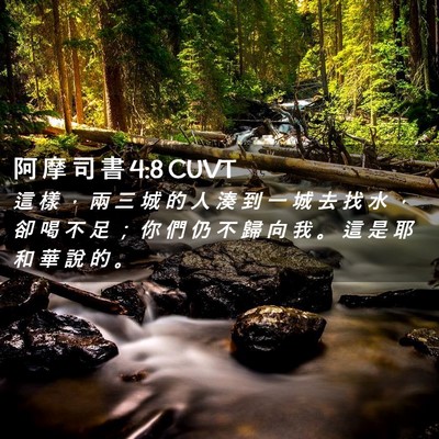 Picture 02 - 阿 摩 司 書 4:8 CUVT - 這 樣 ， 兩 三 城 的 人 湊 到 一 城 - Bible Verse Picture
