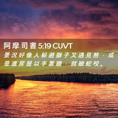 Picture 02 - 阿 摩 司 書 5:19 CUVT - 景 況 好 像 人 躲 避 獅 子 又 遇 見 - Bible Verse Picture