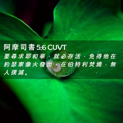 Picture 02 - 阿 摩 司 書 5:6 CUVT - 要 尋 求 耶 和 華 ， 就 必 存 活 ， - Bible Verse Picture