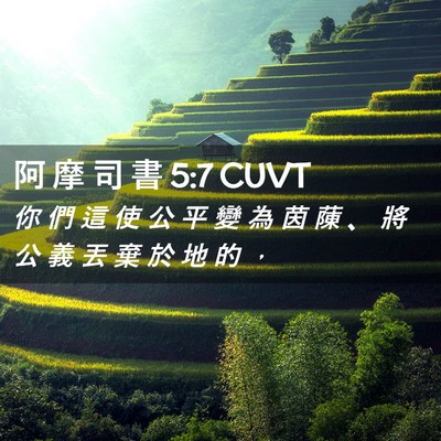 Picture 02 - 阿 摩 司 書 5:7 CUVT - 你 們 這 使 公 平 變 為 茵 蔯 、 將 - Bible Verse Picture