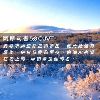 Picture 02 - 阿 摩 司 書 5:8 CUVT - 要 尋 求 那 造 昴 星 和 參 星 ， 使 - Bible Verse Picture