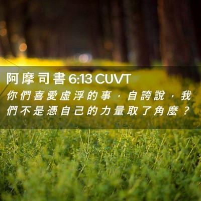 Picture 02 - 阿 摩 司 書 6:13 CUVT - 你 們 喜 愛 虛 浮 的 事 ， 自 誇 說 - Bible Verse Picture
