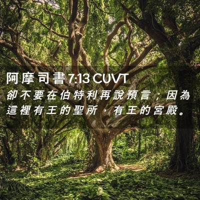 Picture 02 - 阿 摩 司 書 7:13 CUVT - 卻 不 要 在 伯 特 利 再 說 預 言 ； - Bible Verse Picture