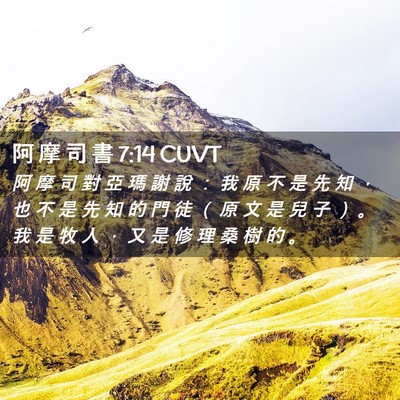 Picture 02 - 阿 摩 司 書 7:14 CUVT - 阿 摩 司 對 亞 瑪 謝 說 ： 我 原 不 - Bible Verse Picture