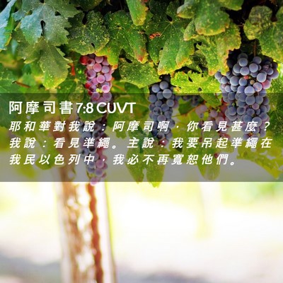 Picture 02 - 阿 摩 司 書 7:8 CUVT - 耶 和 華 對 我 說 ： 阿 摩 司 啊 ， - Bible Verse Picture
