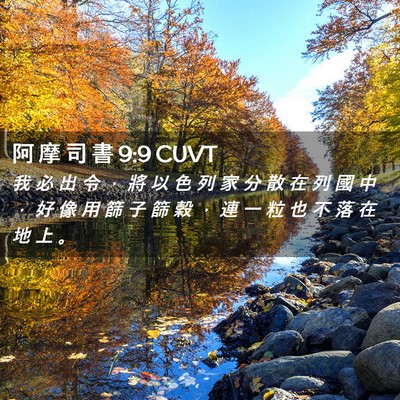 Picture 02 - 阿 摩 司 書 9:9 CUVT - 我 必 出 令 ， 將 以 色 列 家 分 散 - Bible Verse Picture