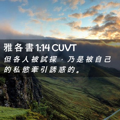 Picture 02 - 雅 各 書 1:14 CUVT - 但 各 人 被 試 探 ， 乃 是 被 自 己 - Bible Verse Picture