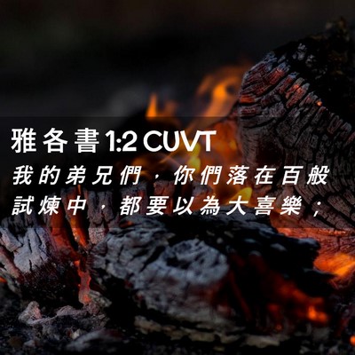 Picture 02 - 雅 各 書 1:2 CUVT - 我 的 弟 兄 們 ， 你 們 落 在 百 般 - Bible Verse Picture