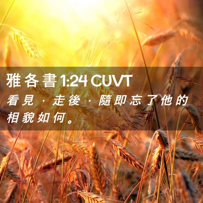 Picture 02 - 雅 各 書 1:24 CUVT - 看 見 ， 走 後 ， 隨 即 忘 了 他 的 - Bible Verse Picture