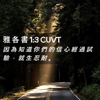 Picture 02 - 雅 各 書 1:3 CUVT - 因 為 知 道 你 們 的 信 心 經 過 試 - Bible Verse Picture