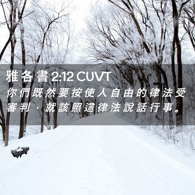 Picture 02 - 雅 各 書 2:12 CUVT - 你 們 既 然 要 按 使 人 自 由 的 律 - Bible Verse Picture