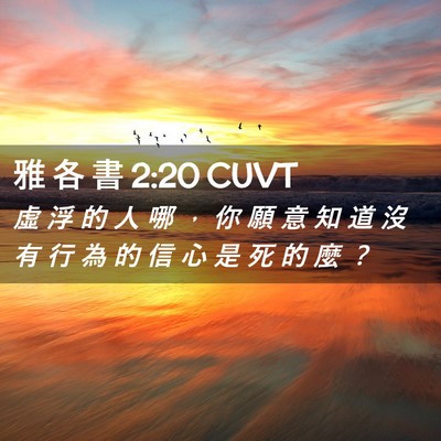 Picture 02 - 雅 各 書 2:20 CUVT - 虛 浮 的 人 哪 ， 你 願 意 知 道 沒 - Bible Verse Picture