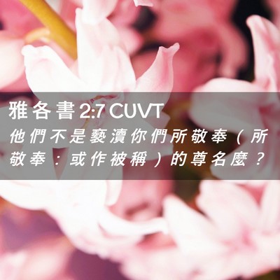 Picture 02 - 雅 各 書 2:7 CUVT - 他 們 不 是 褻 瀆 你 們 所 敬 奉 （ - Bible Verse Picture