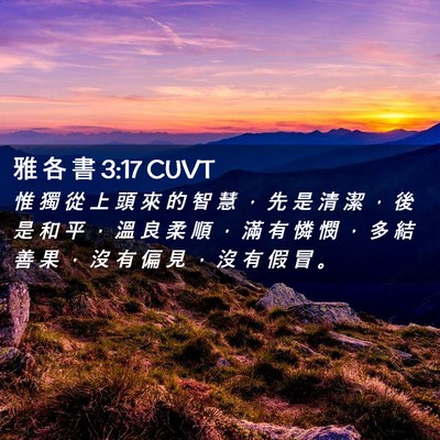 Picture 02 - 雅 各 書 3:17 CUVT - 惟 獨 從 上 頭 來 的 智 慧 ， 先 是 - Bible Verse Picture