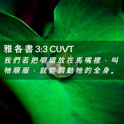 Picture 02 - 雅 各 書 3:3 CUVT - 我 們 若 把 嚼 環 放 在 馬 嘴 裡 ， - Bible Verse Picture