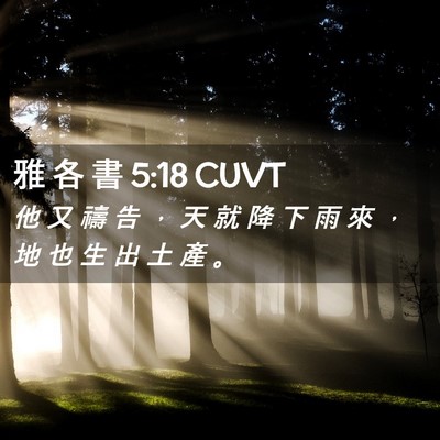 Picture 02 - 雅 各 書 5:18 CUVT - 他 又 禱 告 ， 天 就 降 下 雨 來 ， - Bible Verse Picture