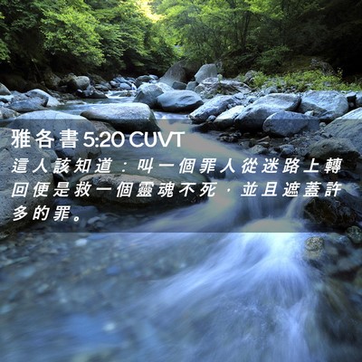 Picture 02 - 雅 各 書 5:20 CUVT - 這 人 該 知 道 ： 叫 一 個 罪 人 從 - Bible Verse Picture