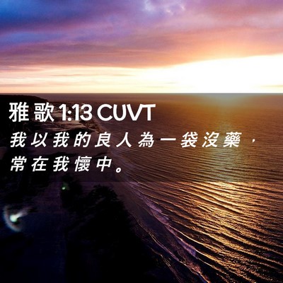 Picture 02 - 雅 歌 1:13 CUVT - 我 以 我 的 良 人 為 一 袋 沒 藥 ， - Bible Verse Picture