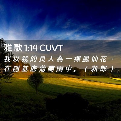 Picture 02 - 雅 歌 1:14 CUVT - 我 以 我 的 良 人 為 一 棵 鳳 仙 花 - Bible Verse Picture