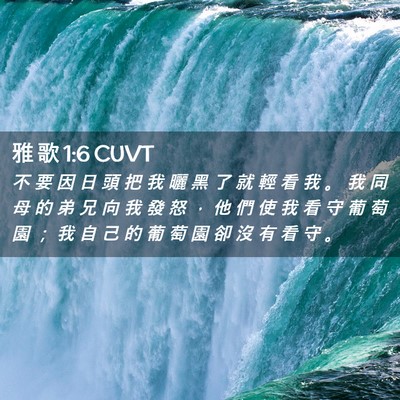 Picture 02 - 雅 歌 1:6 CUVT - 不 要 因 日 頭 把 我 曬 黑 了 就 輕 - Bible Verse Picture