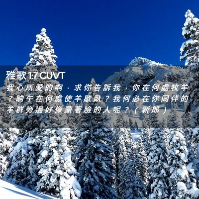 Picture 02 - 雅 歌 1:7 CUVT - 我 心 所 愛 的 啊 ， 求 你 告 訴 我 - Bible Verse Picture