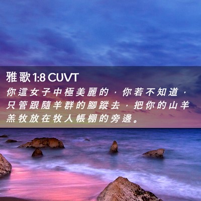Picture 02 - 雅 歌 1:8 CUVT - 你 這 女 子 中 極 美 麗 的 ， 你 若 - Bible Verse Picture