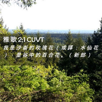 Picture 02 - 雅 歌 2:1 CUVT - 我 是 沙 崙 的 玫 瑰 花 （ 或 譯 ： - Bible Verse Picture