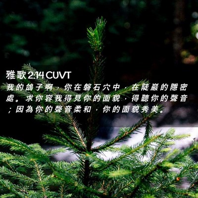 Picture 02 - 雅 歌 2:14 CUVT - 我 的 鴿 子 啊 ， 你 在 磐 石 穴 中 - Bible Verse Picture