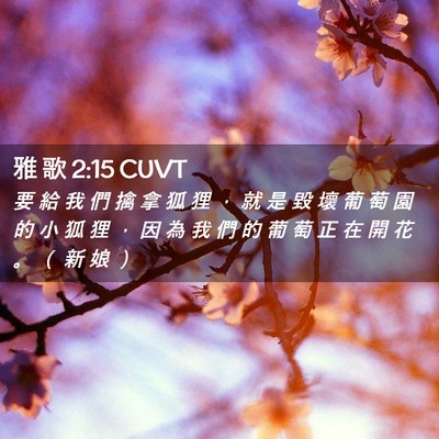 Picture 02 - 雅 歌 2:15 CUVT - 要 給 我 們 擒 拿 狐 狸 ， 就 是 毀 - Bible Verse Picture