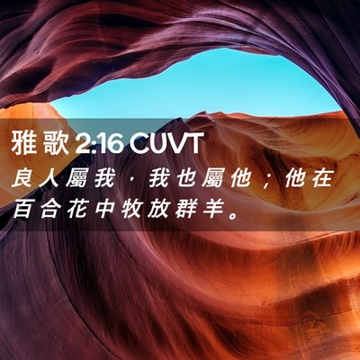 Picture 02 - 雅 歌 2:16 CUVT - 良 人 屬 我 ， 我 也 屬 他 ； 他 在 - Bible Verse Picture