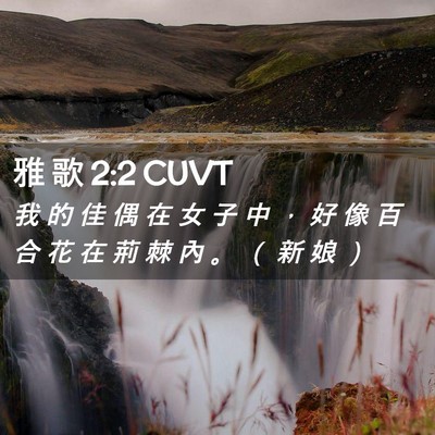 Picture 02 - 雅 歌 2:2 CUVT - 我 的 佳 偶 在 女 子 中 ， 好 像 百 - Bible Verse Picture