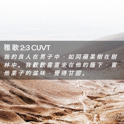 Picture 02 - 雅 歌 2:3 CUVT - 我 的 良 人 在 男 子 中 ， 如 同 蘋 - Bible Verse Picture