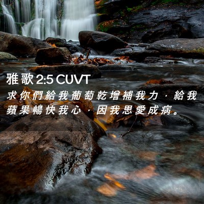 Picture 02 - 雅 歌 2:5 CUVT - 求 你 們 給 我 葡 萄 乾 增 補 我 力 - Bible Verse Picture