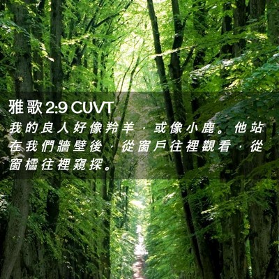 Picture 02 - 雅 歌 2:9 CUVT - 我 的 良 人 好 像 羚 羊 ， 或 像 小 - Bible Verse Picture