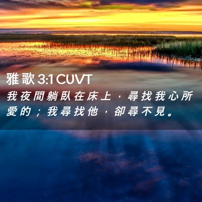 Picture 02 - 雅 歌 3:1 CUVT - 我 夜 間 躺 臥 在 床 上 ， 尋 找 我 - Bible Verse Picture