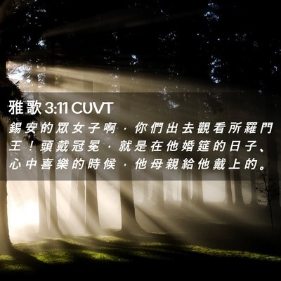 Picture 02 - 雅 歌 3:11 CUVT - 錫 安 的 眾 女 子 啊 ， 你 們 出 去 - Bible Verse Picture