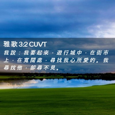 Picture 02 - 雅 歌 3:2 CUVT - 我 說 ： 我 要 起 來 ， 遊 行 城 中 - Bible Verse Picture