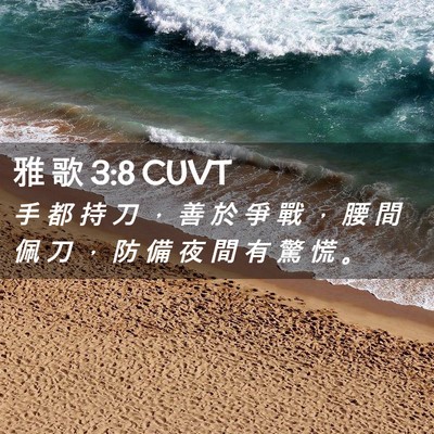 Picture 02 - 雅 歌 3:8 CUVT - 手 都 持 刀 ， 善 於 爭 戰 ， 腰 間 - Bible Verse Picture