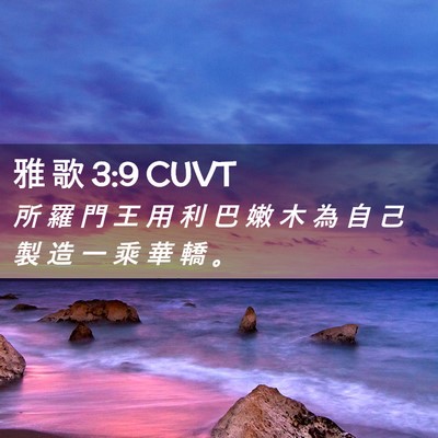 Picture 02 - 雅 歌 3:9 CUVT - 所 羅 門 王 用 利 巴 嫩 木 為 自 己 - Bible Verse Picture