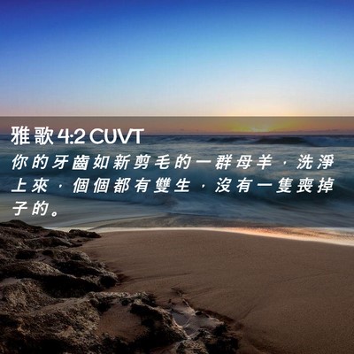 Picture 02 - 雅 歌 4:2 CUVT - 你 的 牙 齒 如 新 剪 毛 的 一 群 母 - Bible Verse Picture