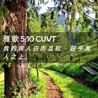Picture 02 - 雅 歌 5:10 CUVT - 我 的 良 人 白 而 且 紅 ， 超 乎 萬 - Bible Verse Picture