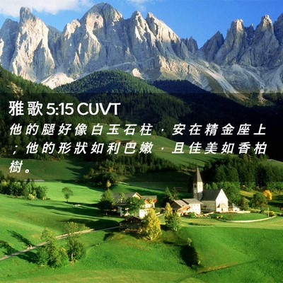Picture 02 - 雅 歌 5:15 CUVT - 他 的 腿 好 像 白 玉 石 柱 ， 安 在 - Bible Verse Picture